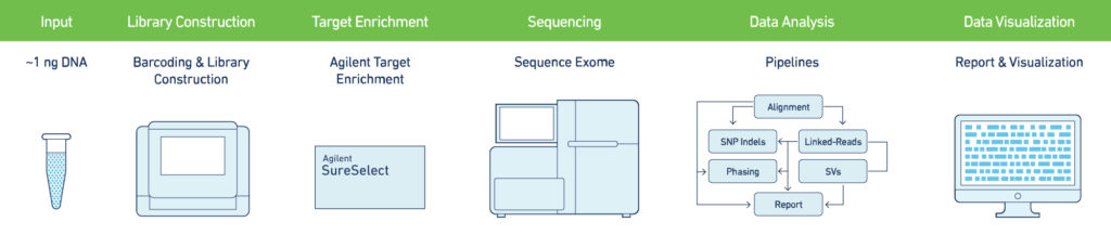 exome-workflow
