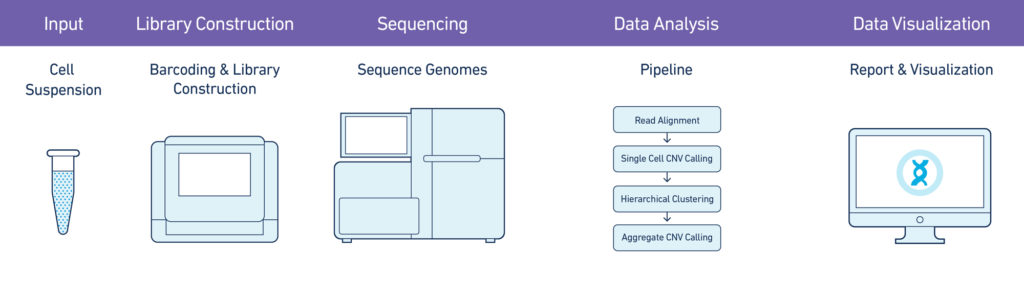 single-cell-cnv-workflow-v2