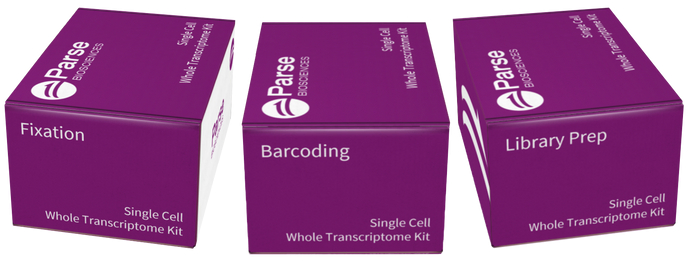 Parse Single Cell Whole Transcriptome Solution image