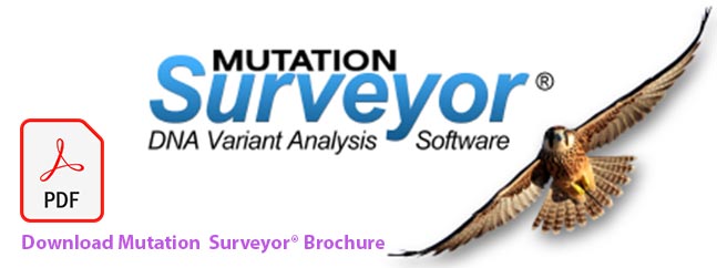 Mutation Surveyor