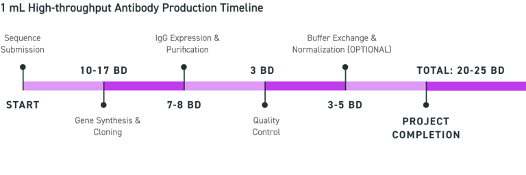 1 mL High-throughput Antibody Production Timeline