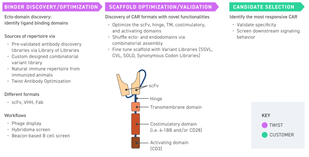 Synbio Libraries Archives - Decode Science