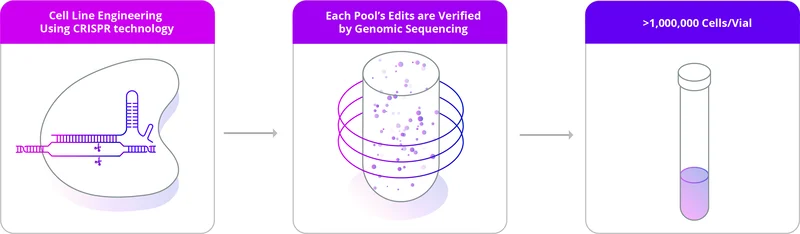 EditCo Knockout Immortalized Cells