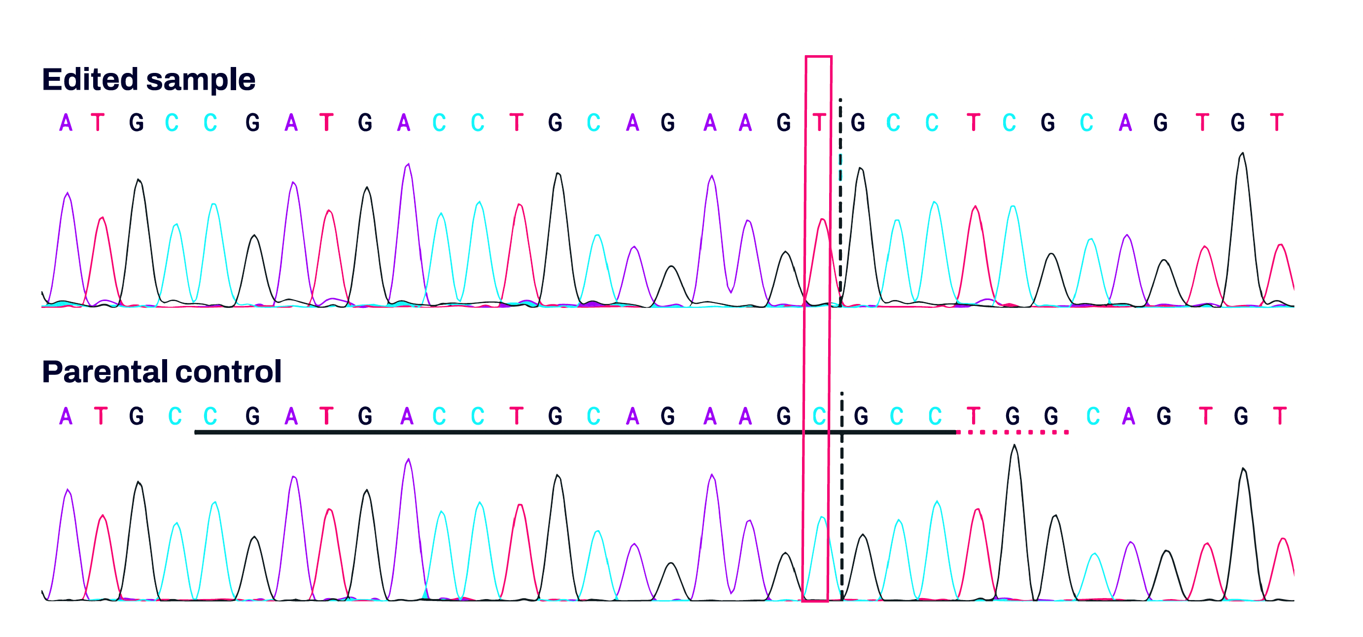 SNV editing in iPS cell clones