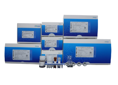 DNBelab C-5'RNA&VDJ