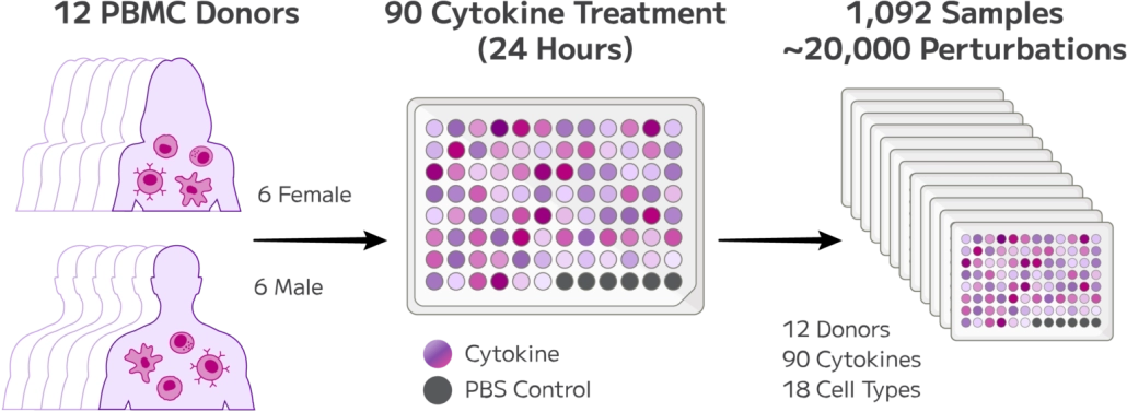 10 Million Human PBMCs in a Single Experiment