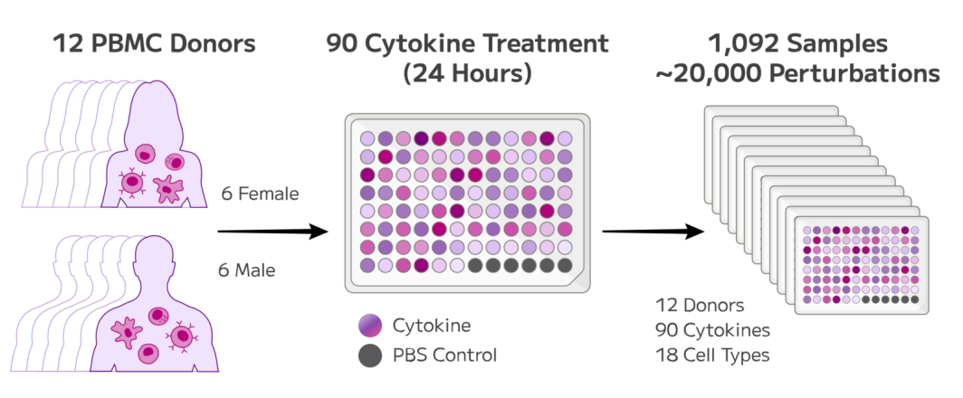 Data Set: Parse 10 Million Human PBMCs in a Single Experiment - Decode ...