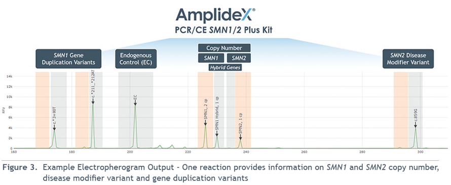 qPCR Solution for SMN1
