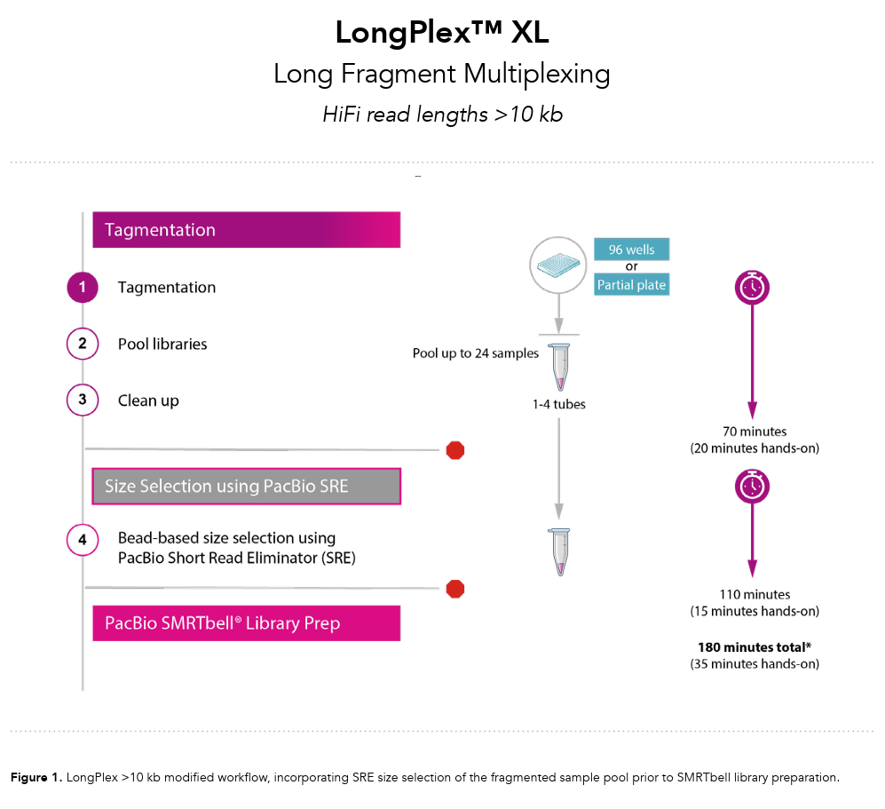 LongPlex™ XL Long Fragment Multiplexing