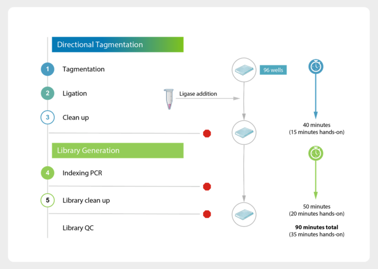 MosaiX-technical-workflow-768x547