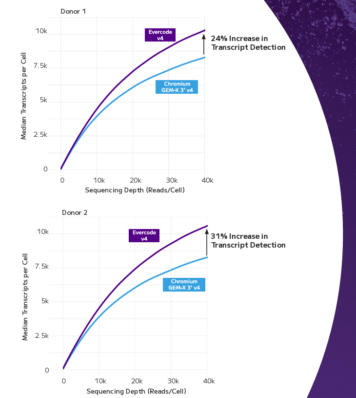 Comparison of Evercode™ WT v4 and Chromium™ GEM-X Single Cell 3’ Kit v4 in Human PBMCs