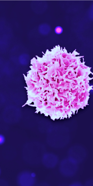 T-cell image